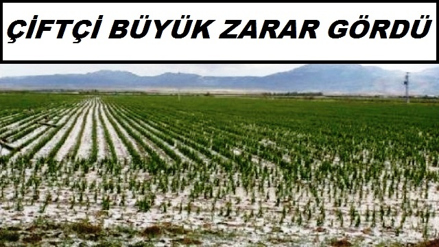 Çiftçi Büyük Zarar Gördü