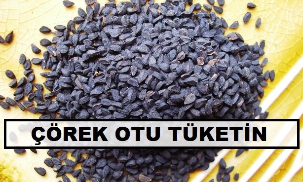 Çörek Otu Yiyin