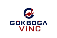 Gökboğa Vinç